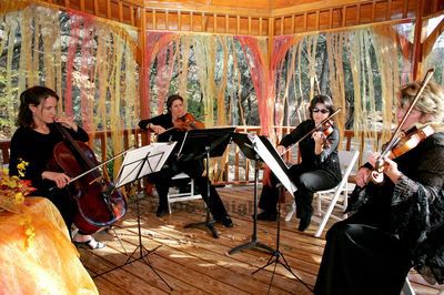 Classical Ensemble